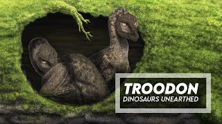 Dinosaurs Unearthed  Troodon Part 2 [upl. by Ancel398]