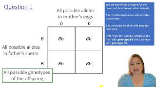 How to use a Punnett Square with genetics practice questions [upl. by Pinsky395]