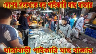 ঢাকা শহরের সবথেকে বড় পাইকারি মাছ বাজার  Biggest Fish Market 26 November 2024  My Life [upl. by Newfeld]