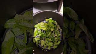 Mint Leaves Dehydrate Ninja Air Fryer [upl. by Purdy]