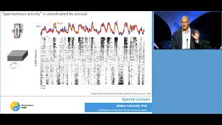 Carandini talk at SfN 2022 quotOrganization of neural activity across the brainquot [upl. by Unam943]