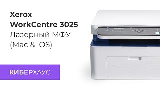 Какой МФУ выбрать Xerox WorkCentre 3025 обзор и подключение к MacBook iPad iPhone [upl. by Galina]