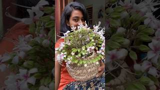 জুগারু ফুলদানি 💐😁 shorts trending viral flowers traditional foryou [upl. by Hwu]