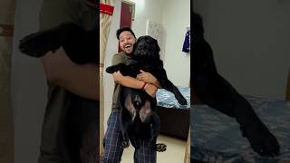 My Dog Hates Bath trending lucky doglover [upl. by Hutchison168]