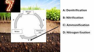 ALevel Biology 10 second quiz episode 3 [upl. by Erminia]