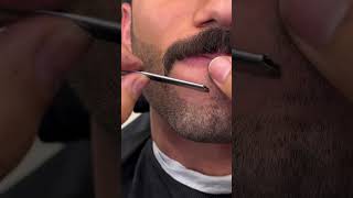 Perfecting The Art Of Moustache Cutting Techniques [upl. by Ilwain]