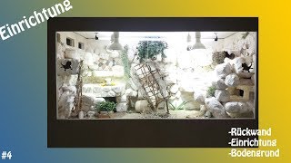 Das Bartagamen Terrarium Rückwand und Einrichtung Video 004 [upl. by Krystyna35]