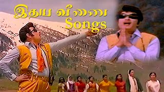 idhaya Veenai Movie Song  MGR Movie Song  MSViswanathan  Bravo Music [upl. by Leahcimauhsoj]