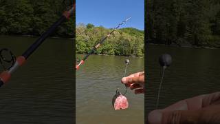 Simple and Effective Catfish Rig [upl. by Gawlas]