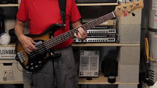 Steely Dan  Peg Bass Cover [upl. by Yeorgi]