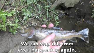 Coal Tar Sealant Ban Video Boone Town Council Meeting Sept 21 2010 [upl. by Mather385]