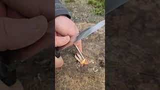 feuerstahl Feuer campfire wald natur Feuer camping survival bushcraft 7vswild [upl. by Ahsinhoj]