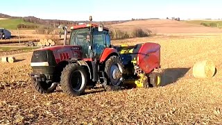 Baling Corn Stalks For Bedding on a Small Family Owned Dairy Farm 2023 Harvest Season [upl. by Harrat710]