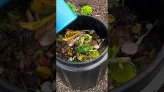 Add compost🌿garden satisfying gardening backyardgardening 💚 [upl. by Barnum350]