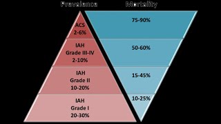 Abdominal Compartment Syndrome ACS SnippetsPanel with ProfManu Malbrain [upl. by Nagud]