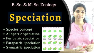 Speciation  types  Evolution  B Sc amp M Sc Zoology [upl. by Auop]