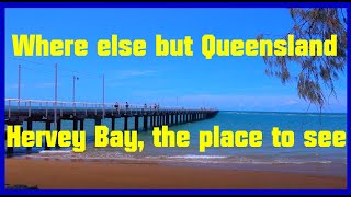 Hervey Bay Part one The Charlton Esplanade [upl. by Memory]