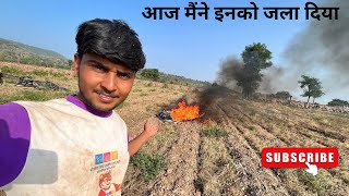 Old dripp ka kya kiya jata hai अब इनका क्या होगाfarmerslife farmerfarmer farmerlife farming [upl. by Nomled]