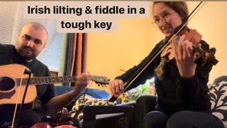 Irish Lilting a new fiddle tune  Kaylee Johnson [upl. by Palua321]