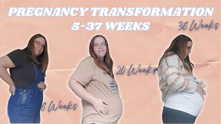 537 WEEKS PREGNANT  2ND BABY  WEEKLY PREGNANCY TRANSFORMATION [upl. by Zahavi]