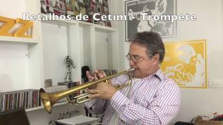 Retalhos de Cetim Trompete [upl. by Stephen]