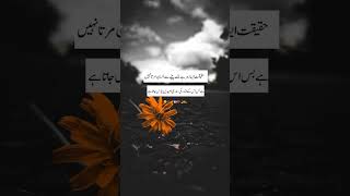 Deewangi song  Pakistani drama OST  Whatsapp sad status  lyrics  viral  shorts  urdushayri [upl. by Qifahs]