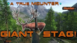 BowHunting for a TRUE GIANT Red Deer STAG THEHUNTER Classic 2018 [upl. by Ttelracs583]