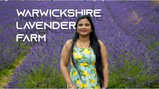 Exploring Warwickshire Lavender Farm A Day in Purple Paradise 🌿💜🪻 [upl. by Ynabla]