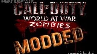 CoD5WaW Zombie Mod Menu PC [upl. by Oad22]