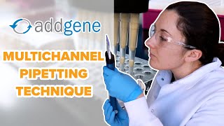 Multichannel Pipetting Technique [upl. by Asilrak]