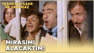 Yaşar Ne Yaşar Ne Yaşamaz Türk Filmi  Yaşar Mirasını Almak İçin Devlet Dairesinde Perişan Oluyor [upl. by Soilisav]