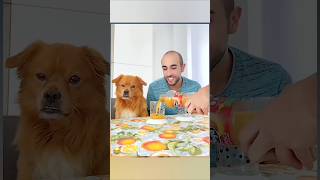 Prank 😂 with dog 🐕 funny 😂🤣 video viralvideos shorts [upl. by Bail192]