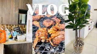 VLOG  Spend The Sunday With Us • Pep HomeMr Price Home Haul • Cleaning • Family Visit • Braai 🇳🇦 [upl. by Sellers]