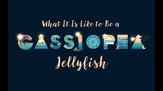 What It Is Like to Be a Cassiopea Jellyfish [upl. by Barbaresi]