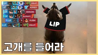 강팀에게 지는 건 부끄러운 게 아니니  LIP 1인칭 CR vs Zeta [upl. by Jobyna516]