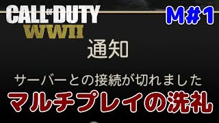 マルチプレイの洗礼を受ける！マルチCoDWW2ゆっくり実況 M1 [upl. by Jaye138]