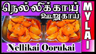 நெல்லிக்காய் ஊறுகாய்  Nellikai Oorugai  Amla Pickle recipe in Tamil  MYLAI Samayal [upl. by Yllac]