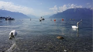 France Cycling Lac Léman Lake Geneva [upl. by Netsew707]