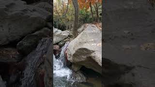 Wadiye Sawat 🇵🇰😍👍youtubeshorts youtube foryou travel subscribe viralvideo trending fyp kids [upl. by Consuelo]