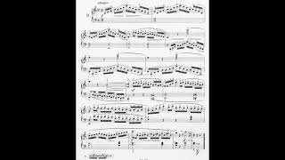 some obscured Aloys Schmitts etudes [upl. by Enaud]