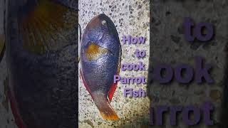 Fishing Fun  Cooking Parrot Fish [upl. by Elyk]