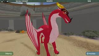 all my ocs from Wings of Fire Roblox [upl. by Nazler125]