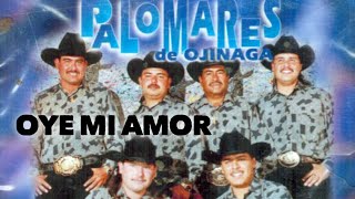 Oye Mi Amor Karaoke Palomares de Ojinaga Cumbia Norteña Sax [upl. by Ranique213]