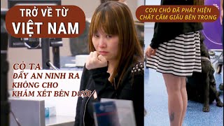 ĐẨY AN NINH RA KHÔNG CHO KHÁM XÉT BÊN DƯỚI NHƯNG CON CHÓ ĐÃ CÓ PHẢN ỨNG KHI PHÁT HIỆN CHẤT CẤM [upl. by Hetti]