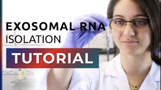 How to Isolate Exosomal RNA From Exosomes [upl. by Alexi409]