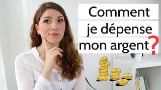 COMMENT UN MINIMALISTE DÉPENSE SON ARGENT [upl. by Ahseiat241]