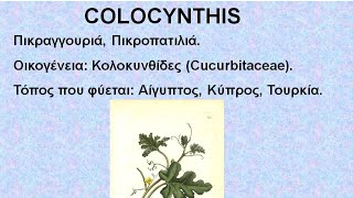 COLOCYNTHIS  ΑΝΤΙΜΕΤΩΠΙΣΗ ΟΞΕΩΝ ΚΑΤΑΣΤΑΣΕΩΝ ΜΕ ΟΜΟΙΟΠΑΘΗΤΙΚΗ [upl. by Karol]