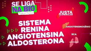 Sistema ReninaAngiotensinaAldosterona SRAA  Prof Paulada [upl. by Yelsel]