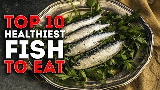 Top 10 Healthiest Fish To Eat [upl. by Adikam729]