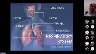 Asthma Lecture Definition Pathophysiology and Phenotypes [upl. by Wake]